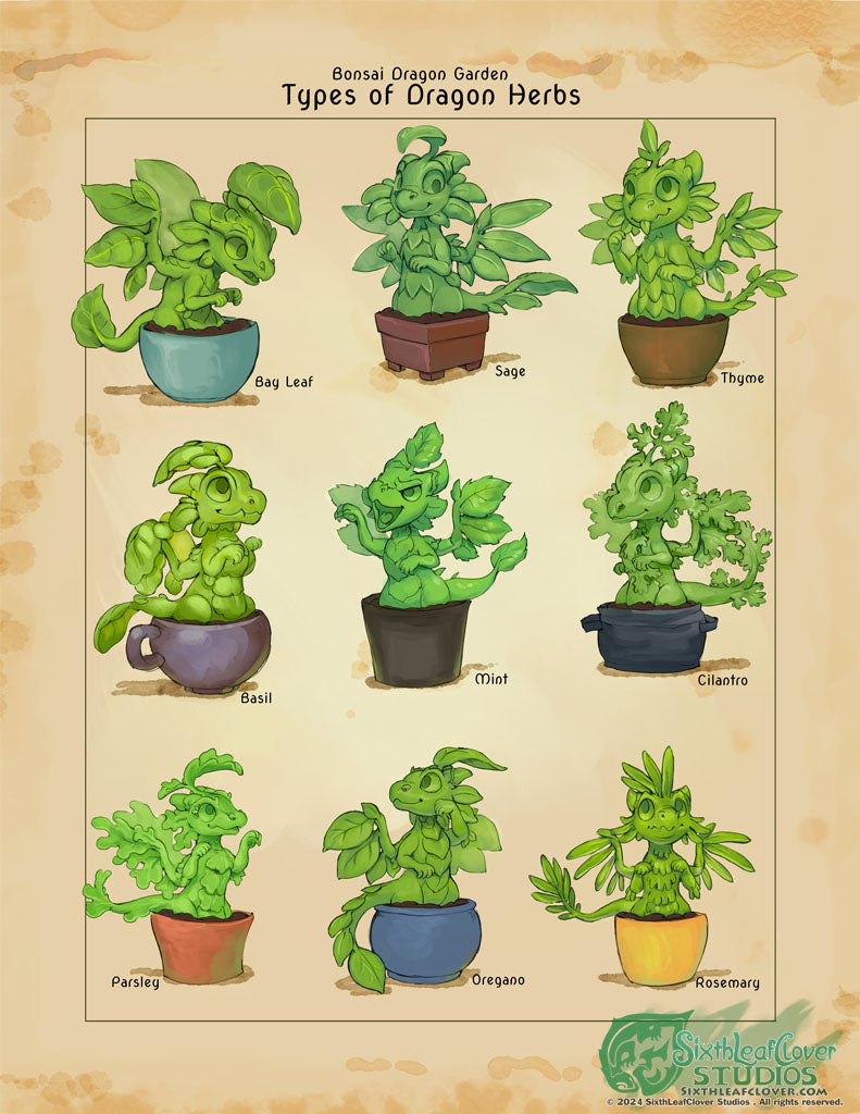Dragon Herb Garden