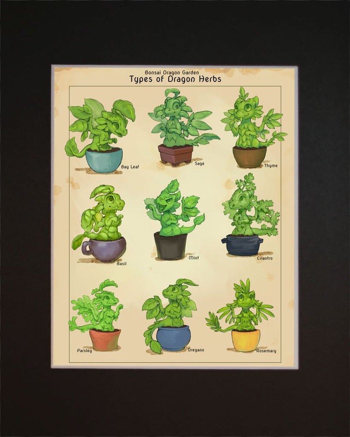 Dragon Herb Garden