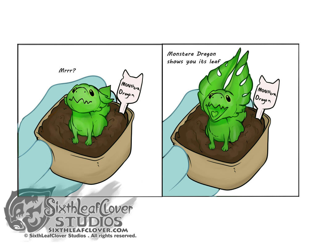 Monstera Dragon – SixthLeafClover Studios