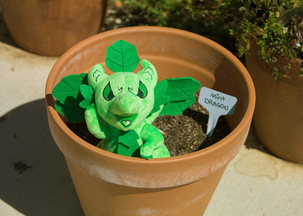 Minty Dragon Plush Toy