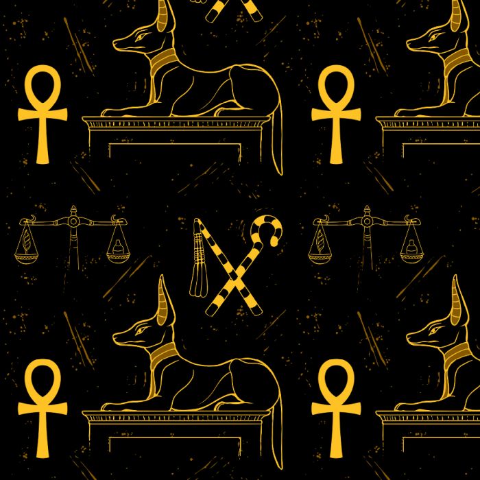 Anubis unisex wide-leg pants
