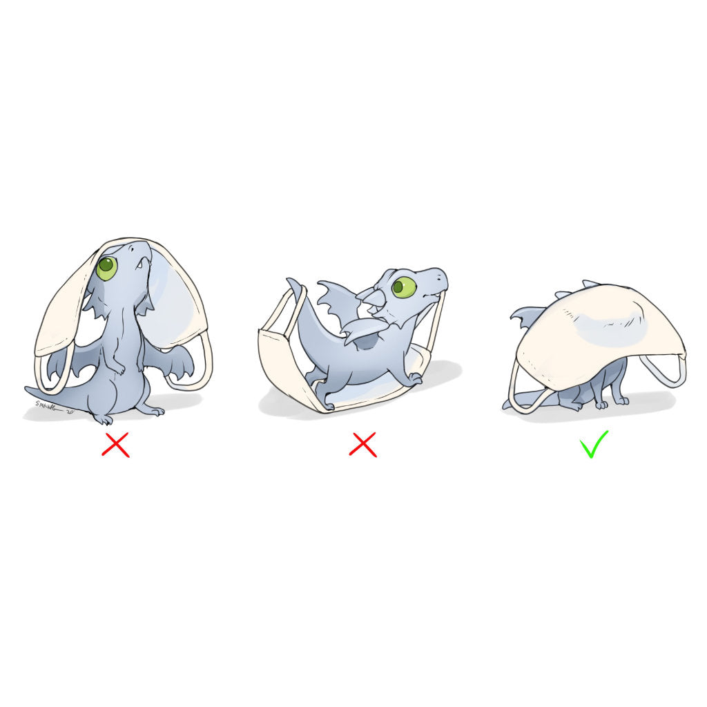 Mask Dragon Whelps